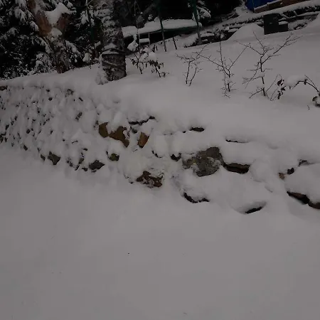 샬레 100 Český Jiřetín