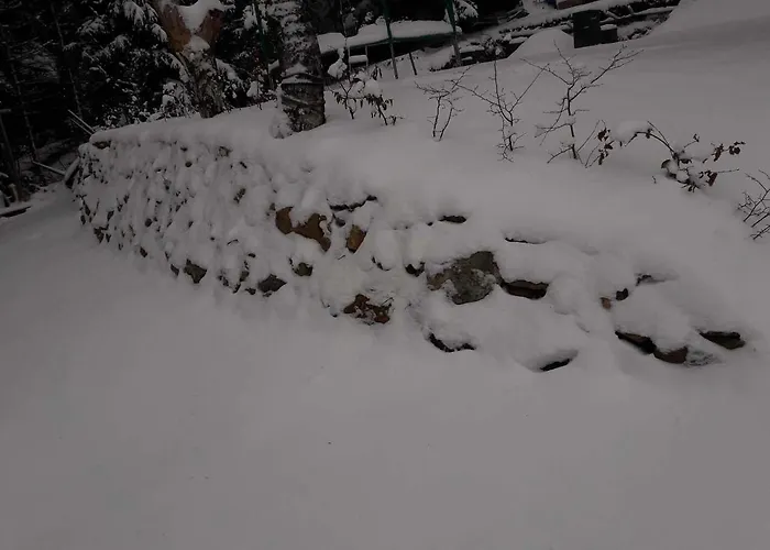 シャレー 100 Český Jiřetín