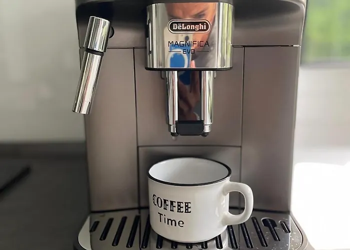 100 Σαλέ