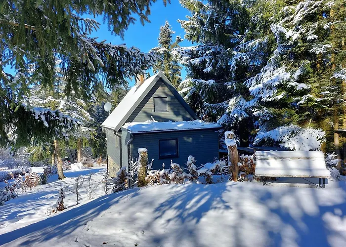 Chalet 100